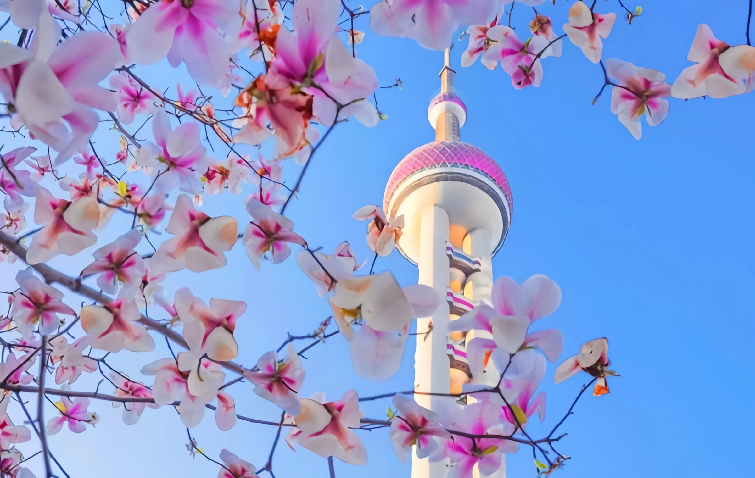 Skyscrapers, Gardens and Lakes
