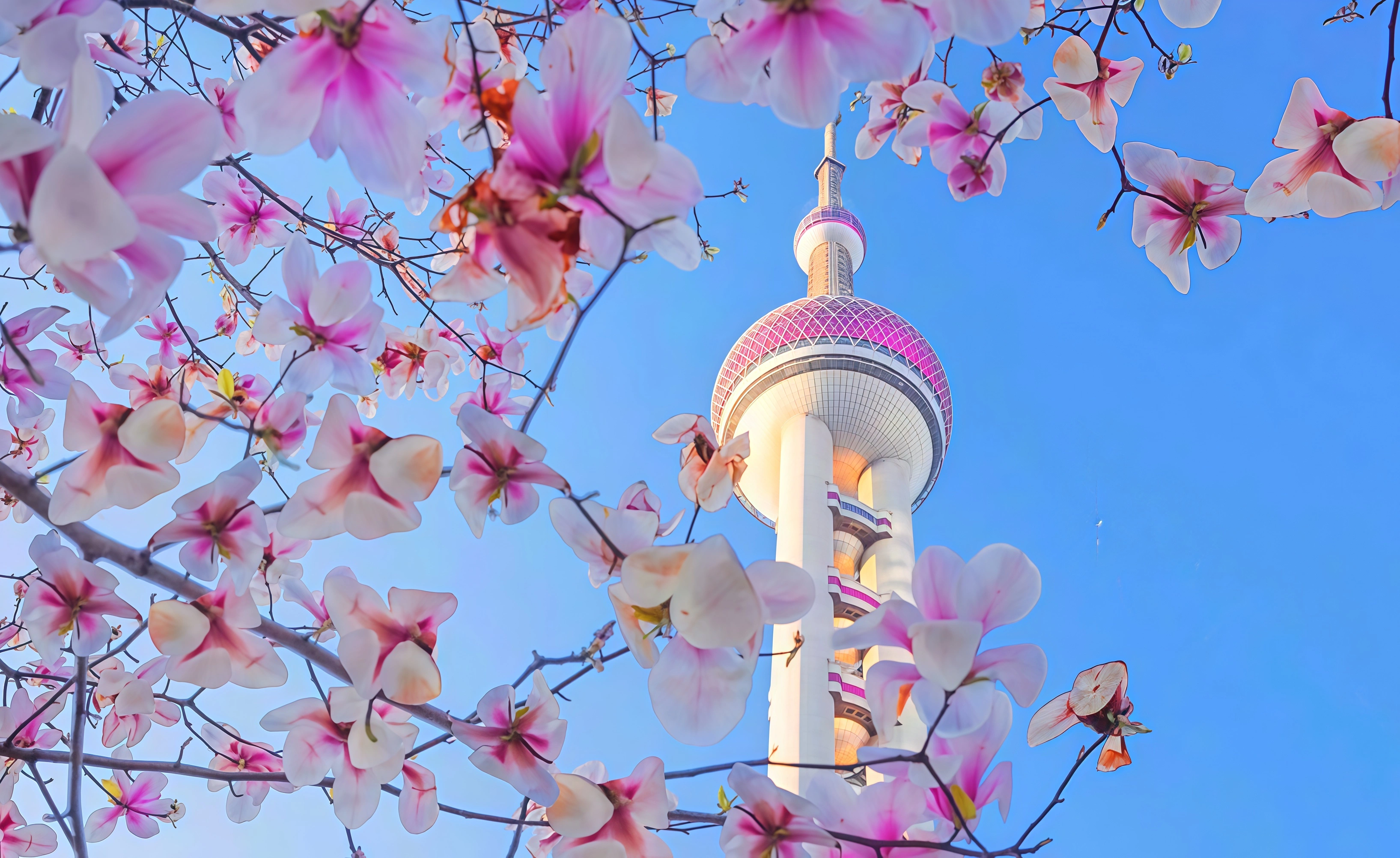 Jiangnan Dream Tour: A Ten-day Luxurious Tour of Shanghai, Suzhou and Hangzhou