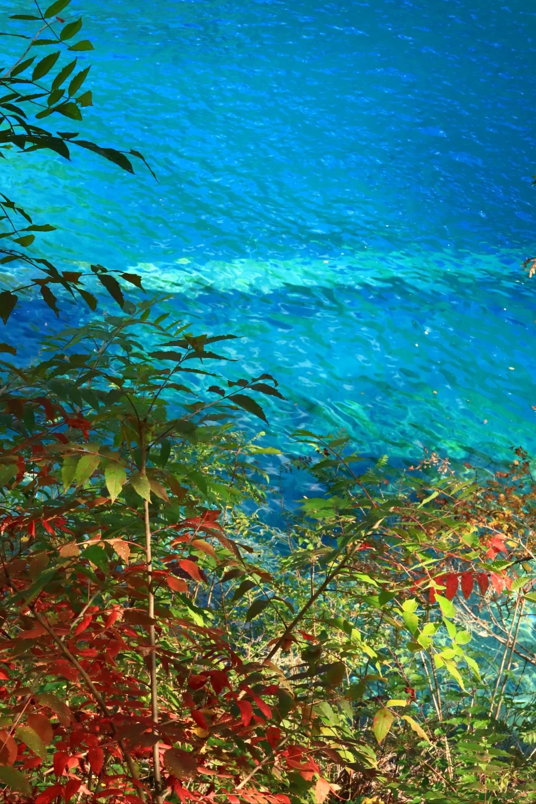 Wild fairyland and cultural feast